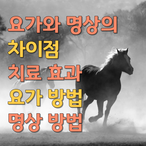  요가와 명상의 차이점과 치료 효과 방법