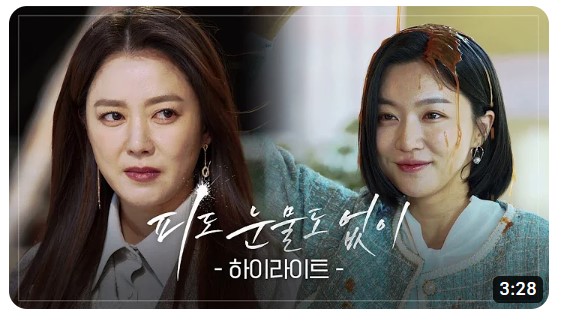 피도 눈물도 없이 등장인물 출연진 인물관계도 기본정보