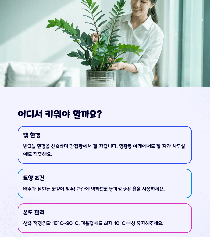 보석 금전수 키우기