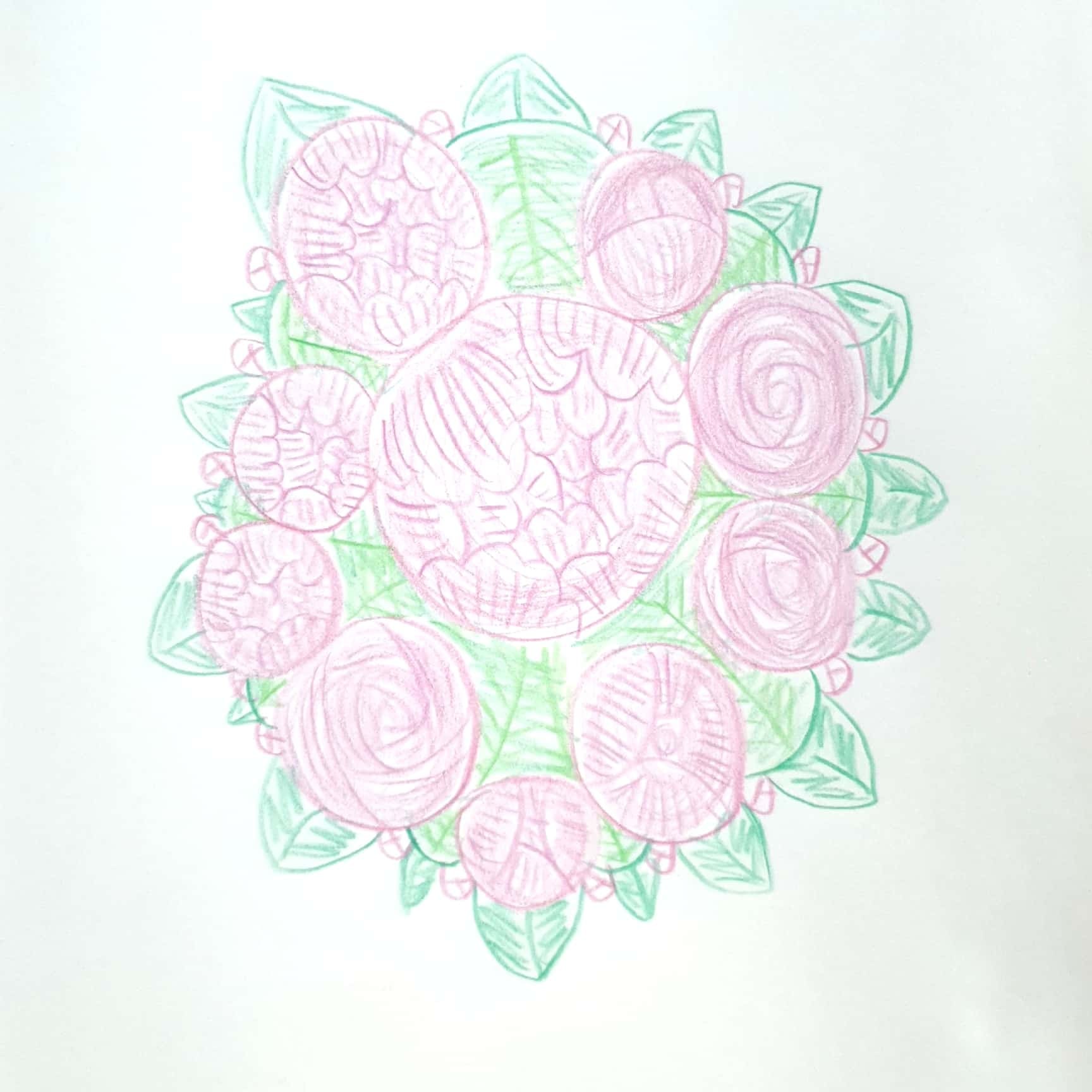 Pink Flowers 분홍 꽃들 / 일러스트 그림 드로잉 / 식물화 그리기