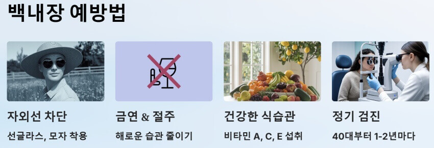 백내장 ppt 이미지