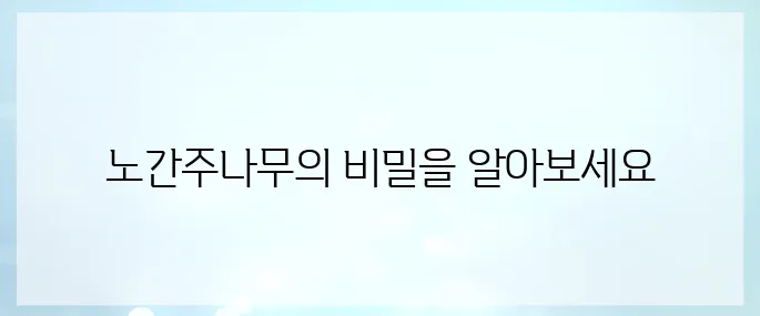 노간주나무 효능 및 부작용, 활용법