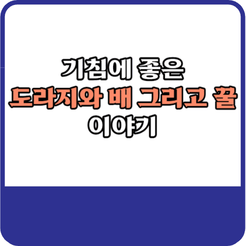 기침에좋은 도라지 배 꿀 이야기