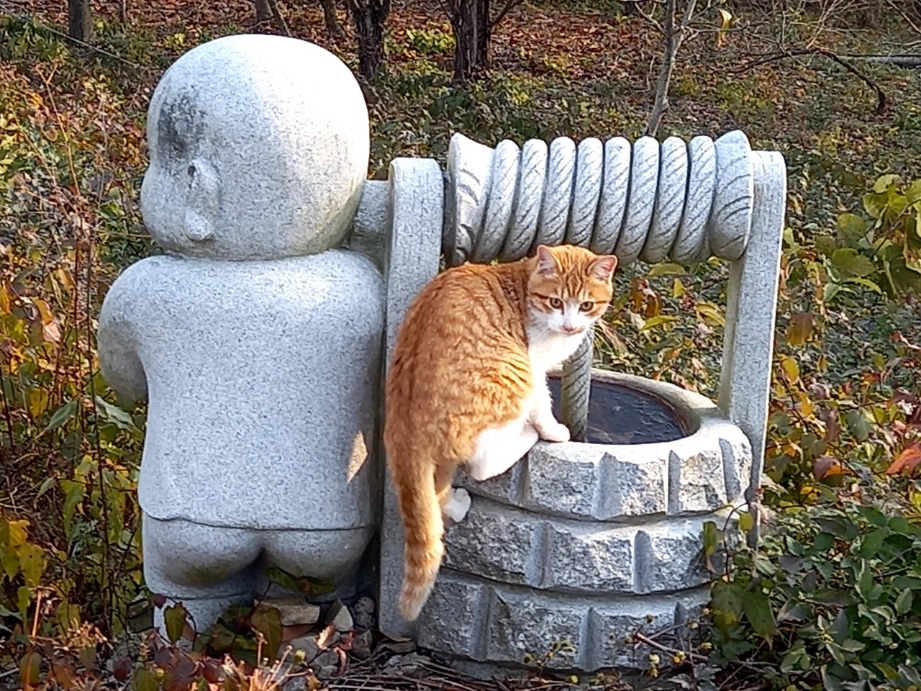 img.jpg