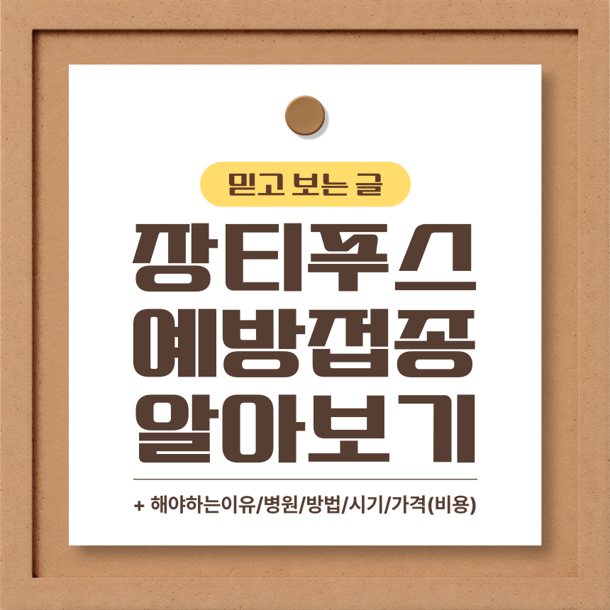  장티푸스 예방접종 알아보기