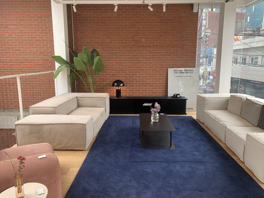 잭슨카멜레온, 플랜트란스 10