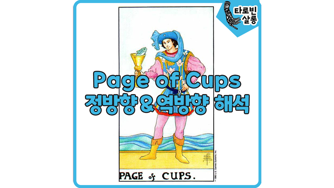  [웨이트 카드 해석] Page of Cups 페이지 컵 타로 카드 정방향 & 역방향 해석