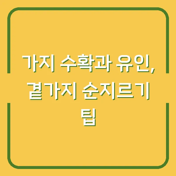 가지 수확과 유인, 곁가지 순지르기 팁