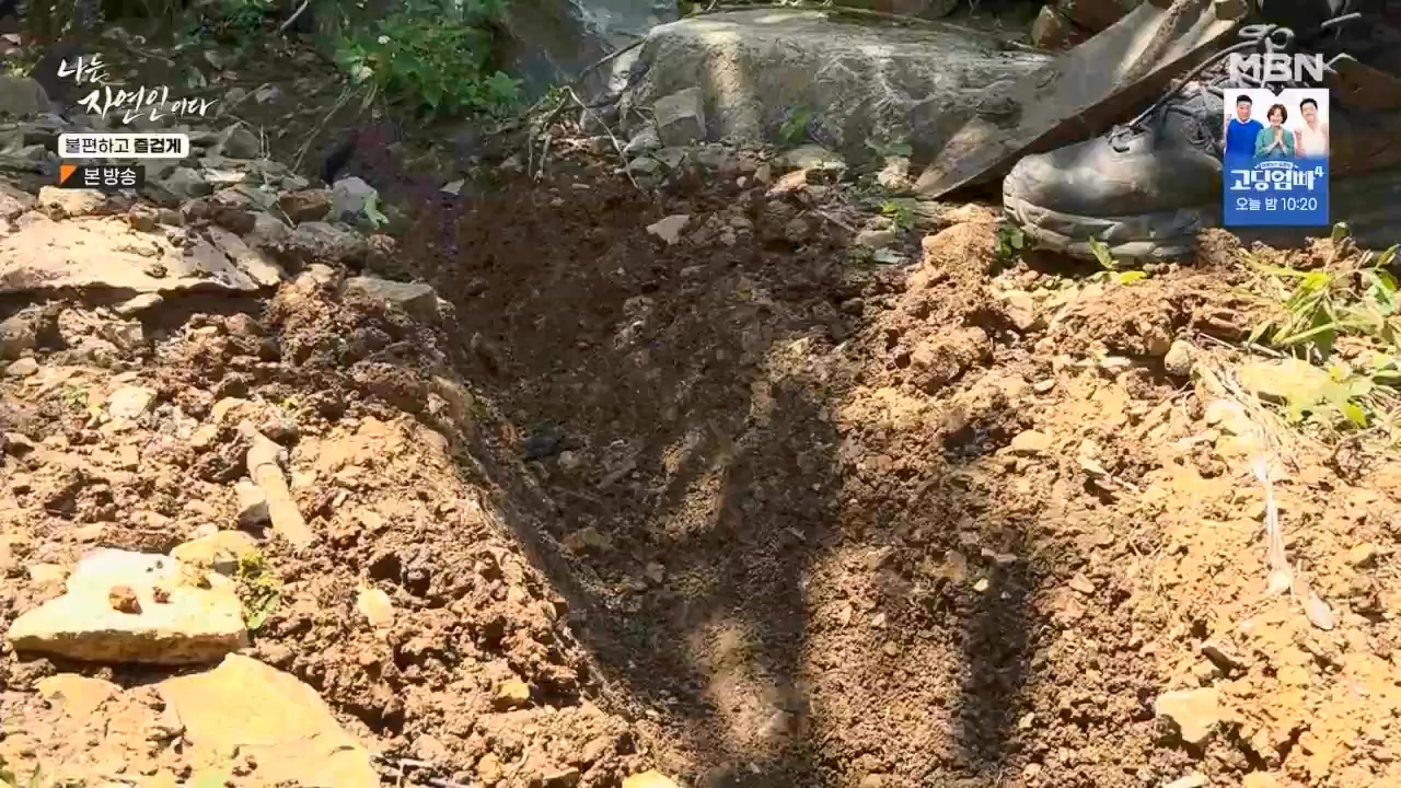 나는 자연인이다.E566.230810p.WANNA.mp4_20230810_202605.372.jpg