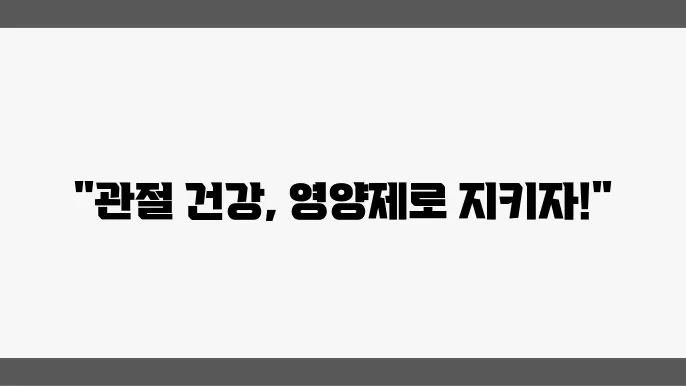 관절건강 영양제 소개
