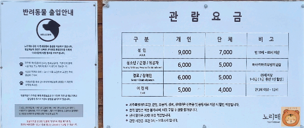 노리매