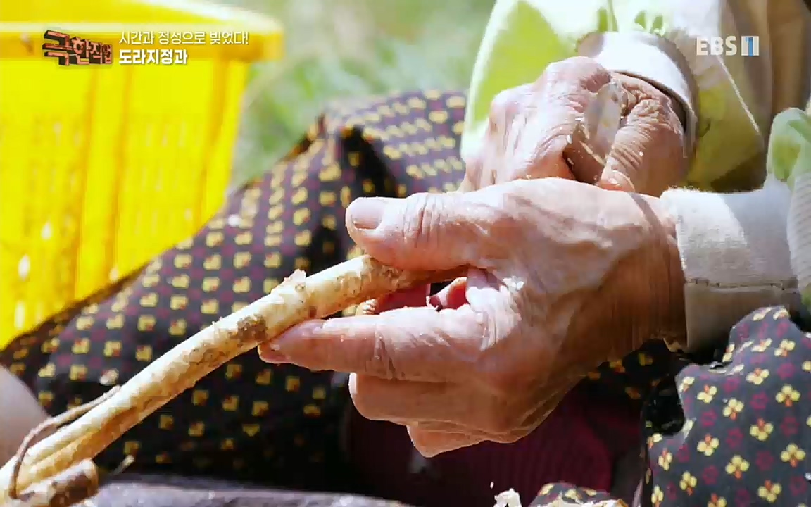 TV - 교육의 중심 EBS시간과 정성으로 빚었다! 유황오리 엿, 죽력, 도라지정과.mp4_20220521_185537.059.jpg