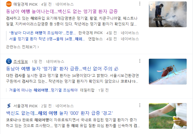  동남아 여행 시 뎅기열 조심하세요! (+예방수칙)