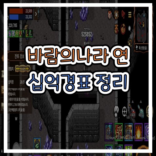  바람의나라 연 십억경표 레벨별  소모개수 및 경험치 표