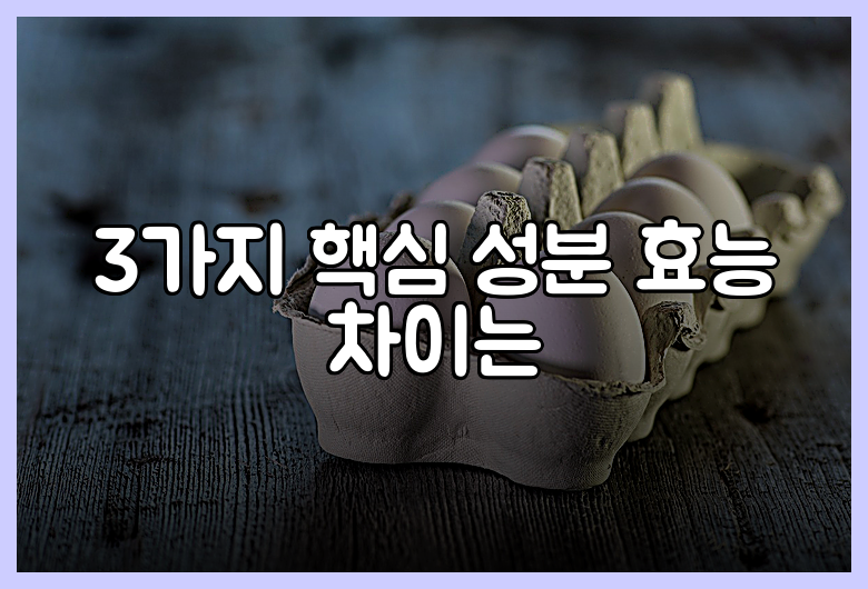 3가지 핵심 성분 효능 차이는