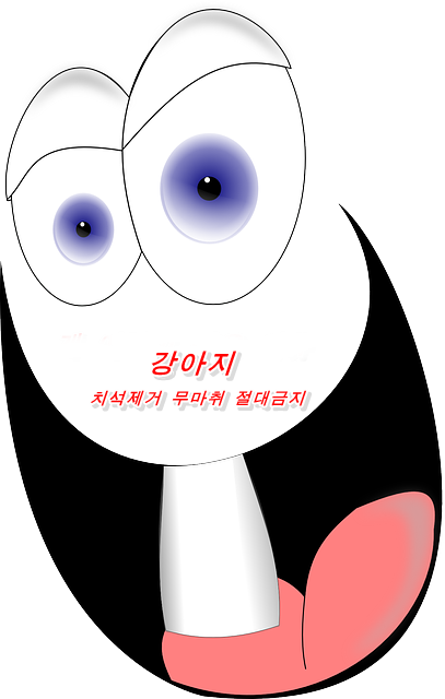  개 치석 제거, 무마취 절대 안돼! 뜻밖의 사고로 이어질 수도