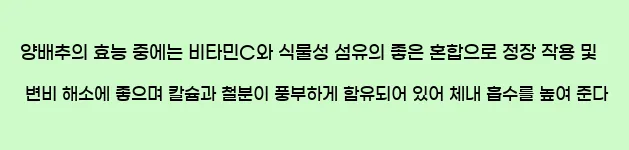   양배추의 효능 중에는 비타민C와 식물성 섬유의 좋은 혼합으로 정장 작용 및 변비 해소에 좋으며 칼슘과 철분이 풍부하게 함유되어 있어 체내 흡수를 높여 준다