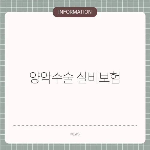 양악수술 실비보험
