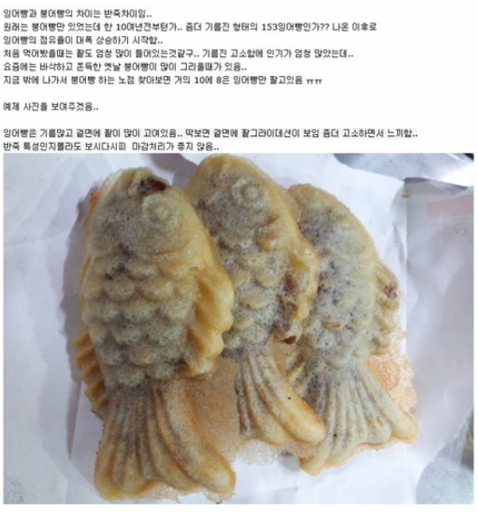  붕어빵 vs 잉어빵 차이점