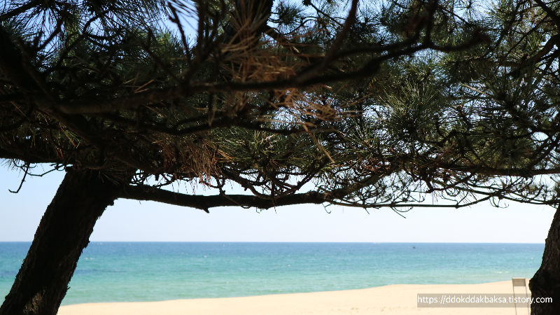 photo by 똑딱박사엄마 / 답답할땐 푸르른 바다가 보고 싶다.