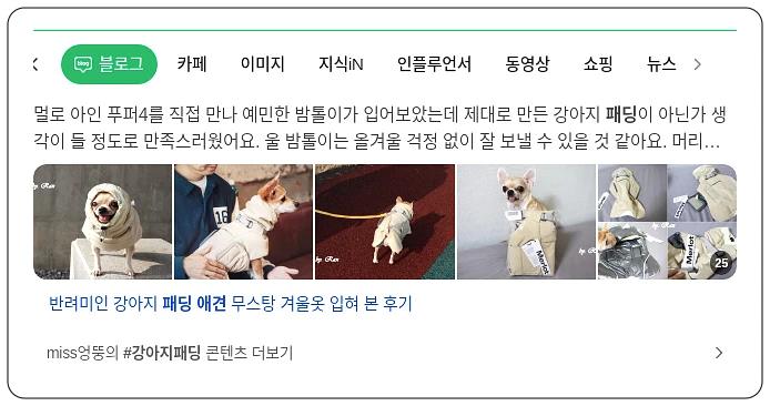 애견패딩 추천_1_subsection