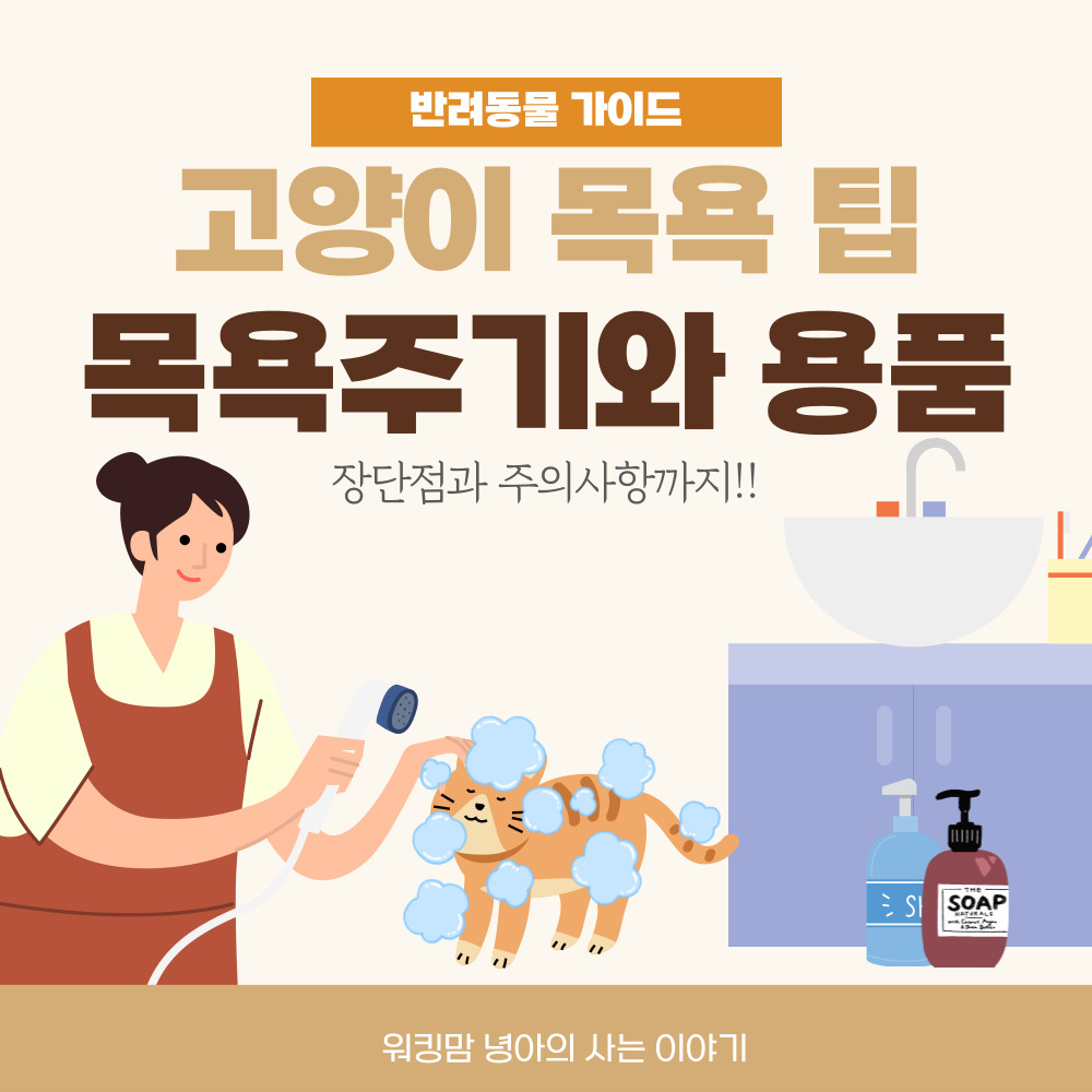 고양이 목욕관련 포스팅 대문 이미지