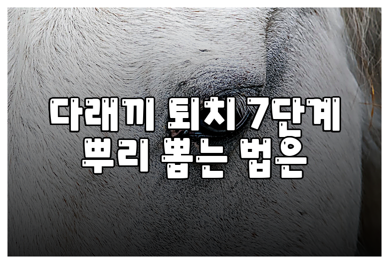 다래끼 퇴치 7단계 뿌리 뽑는 법은