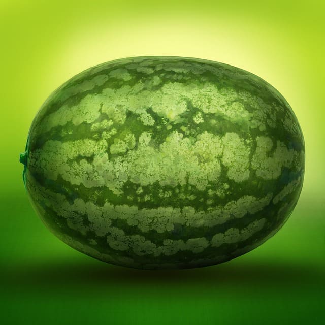 인삼 산삼 호박 오이 수박 그 외 채소에 관한 꿈 해몽 꿈 풀이