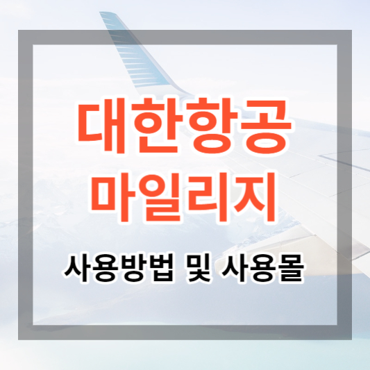  대한항공마일리지 사용방법 및 마일리지몰. 이마트와 네이버에서 마일리지 사용하기