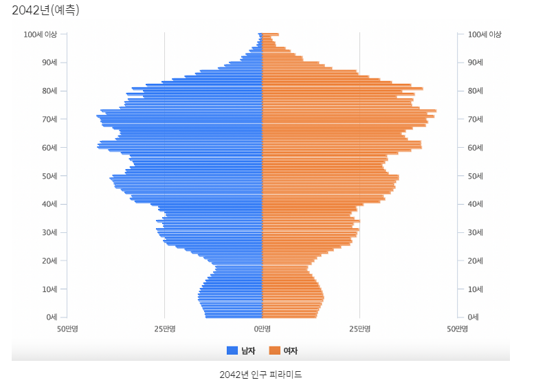 2042년인구피라미드