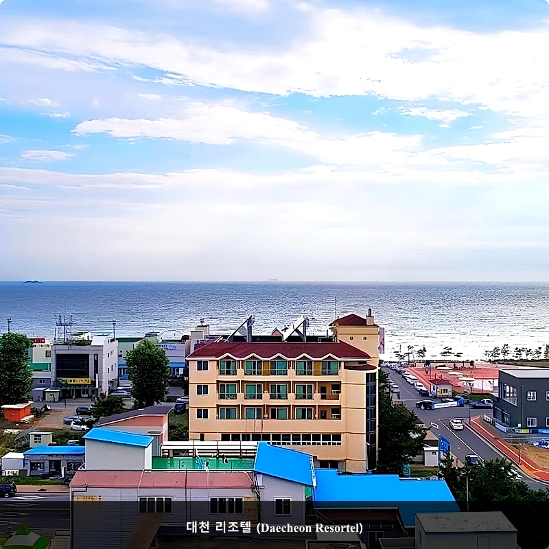 대천 리조텔 (Daecheon Resortel)_5