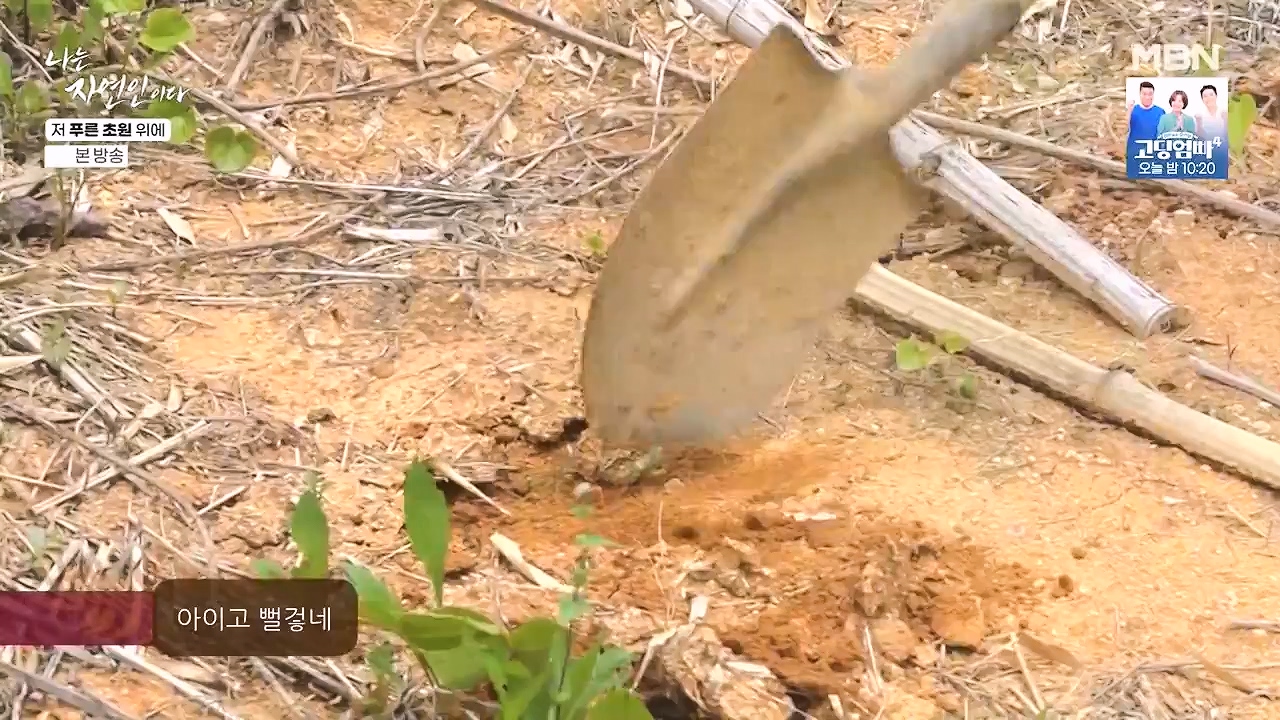 나는 자연인이다.E607.240530p-NEXT.mp4_20240530_200522.723.jpg