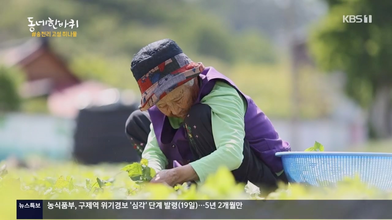 동네 한 바퀴.E221.230521p.H264-F1RST.mp4_20230522_210400.328.jpg