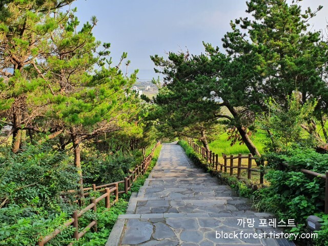 성산일출봉 분위기