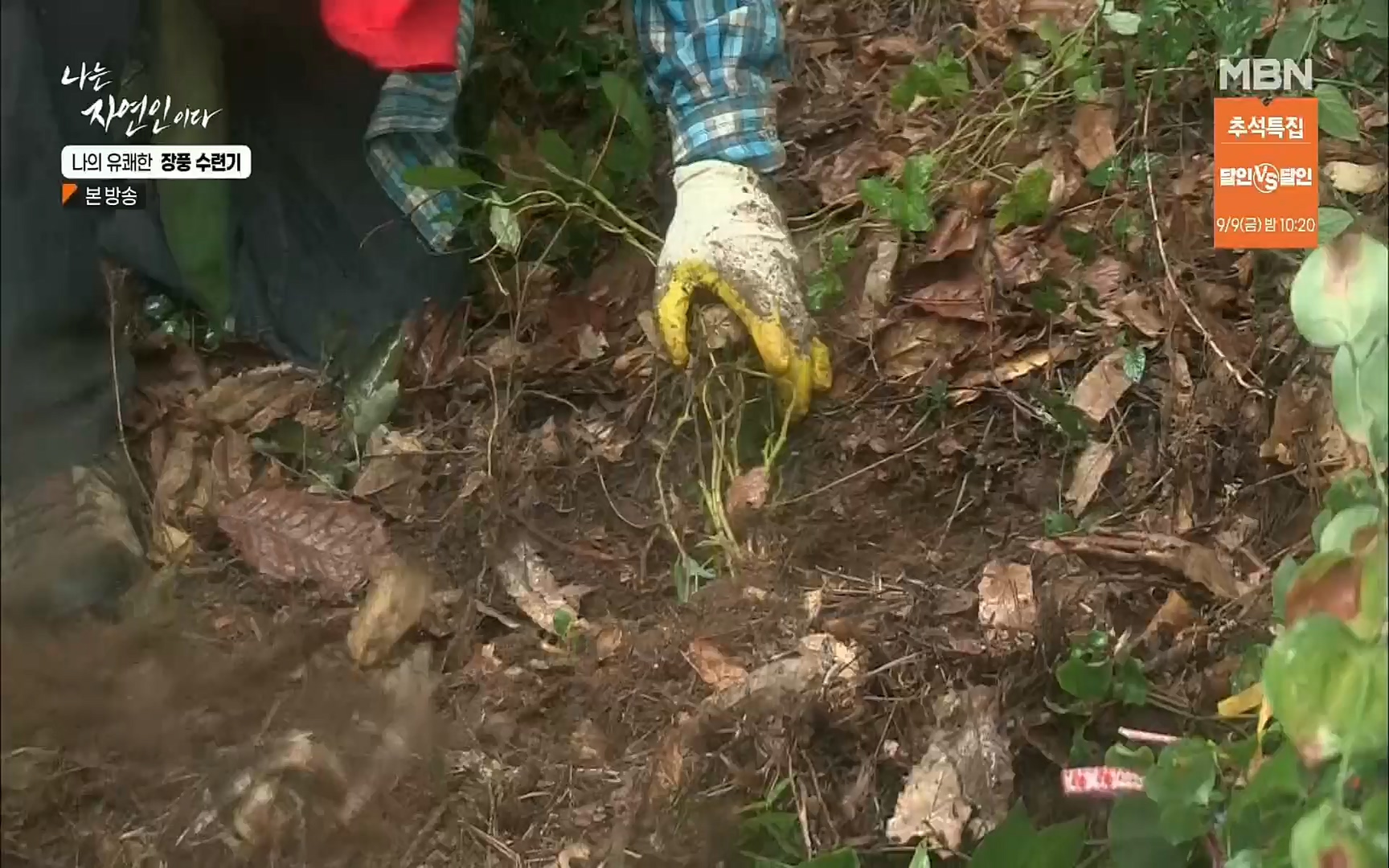 나는 자연인이다.E517.220831p.H264-F1RST.mp4_20220901_201005.868.jpg