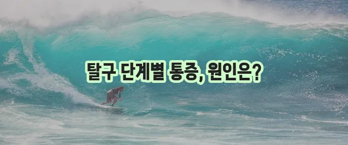 강아지 슬개골 탈구 단계 뒷다리 통증 원인 확실히 알아봐야 합니다!