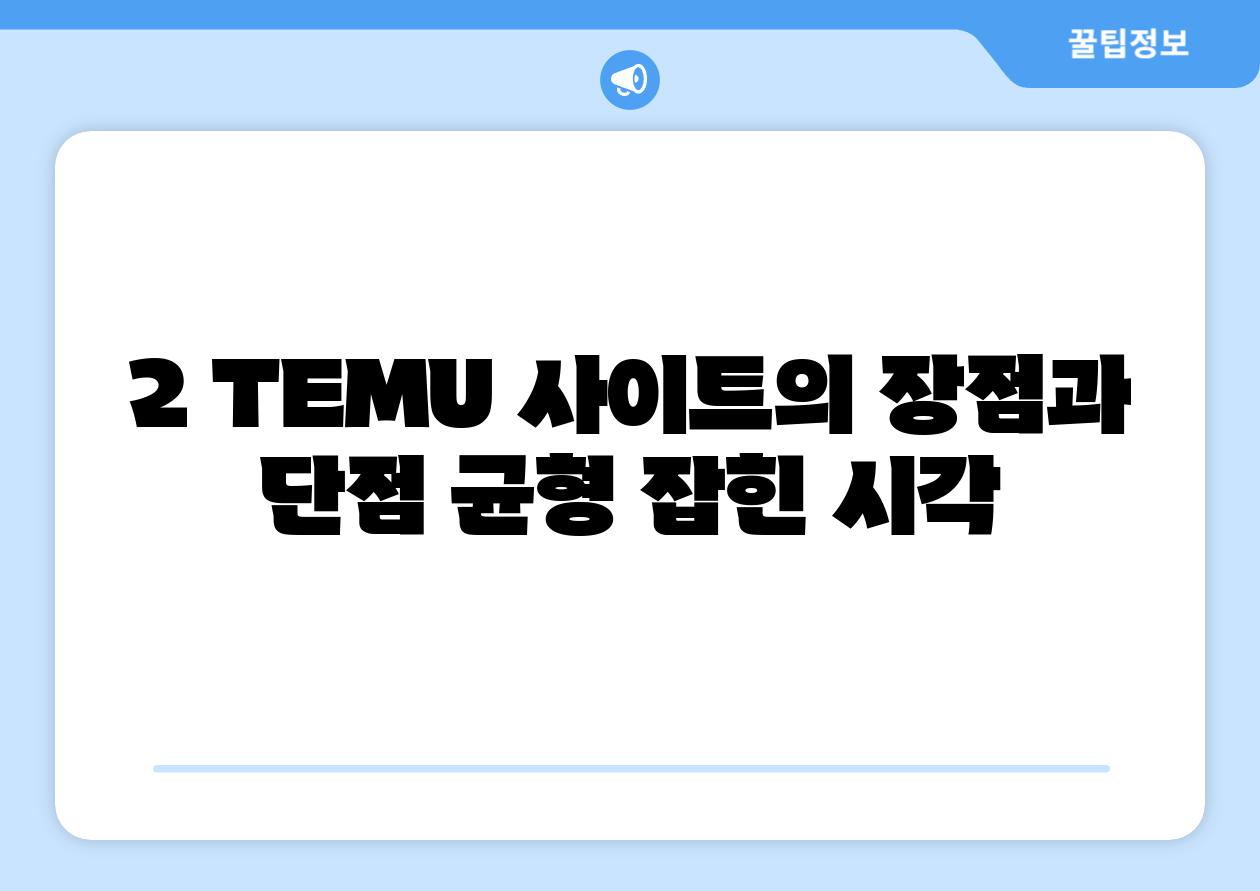 2. TEMU 사이트의 장점과 단점: 균형 잡힌 시각