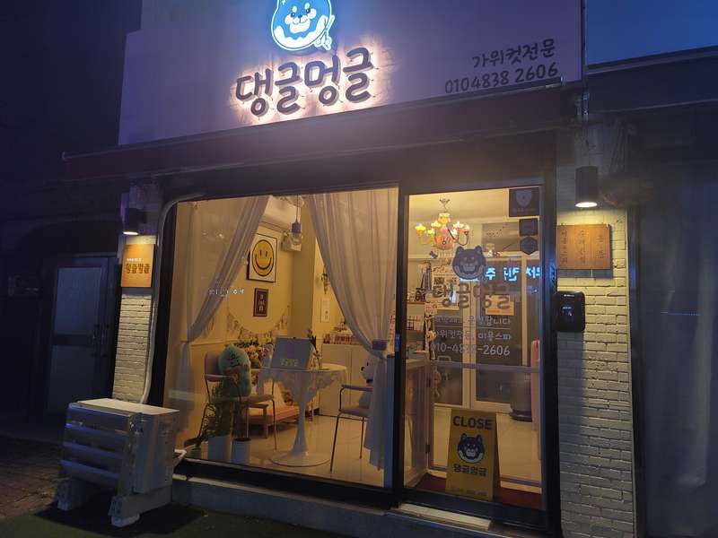 1호선 가능역 애견미용 잘하는 곳 BEST4 | 고객 후기 | 가격비교 | 애견미용샵 추천 | 강아지 미용 | 목욕 서비스 총정리 - 1. 댕글멍글 애견미용실 소개 1. 댕글멍글 애견미용실 소개