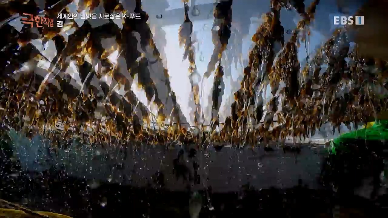 TV - 교육의 중심 EBS세계인의 입맛을 사로잡은 K-푸드.mp4_20230211_183516.868.jpg