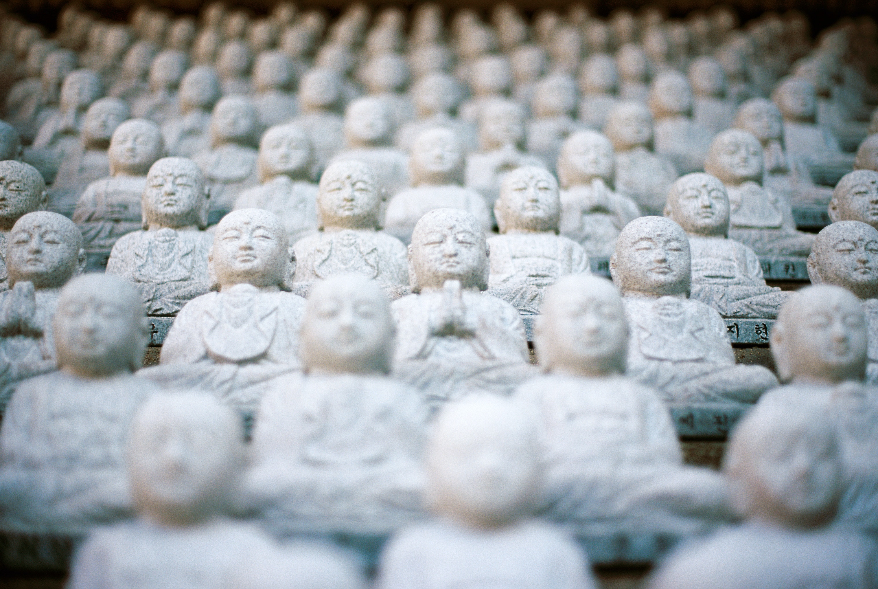 삼보