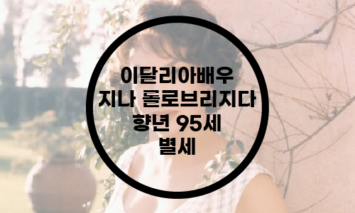  이탈리아 배우 롤로 브리지다 향년 95세 사망/롤로 브리기다/배우 정보