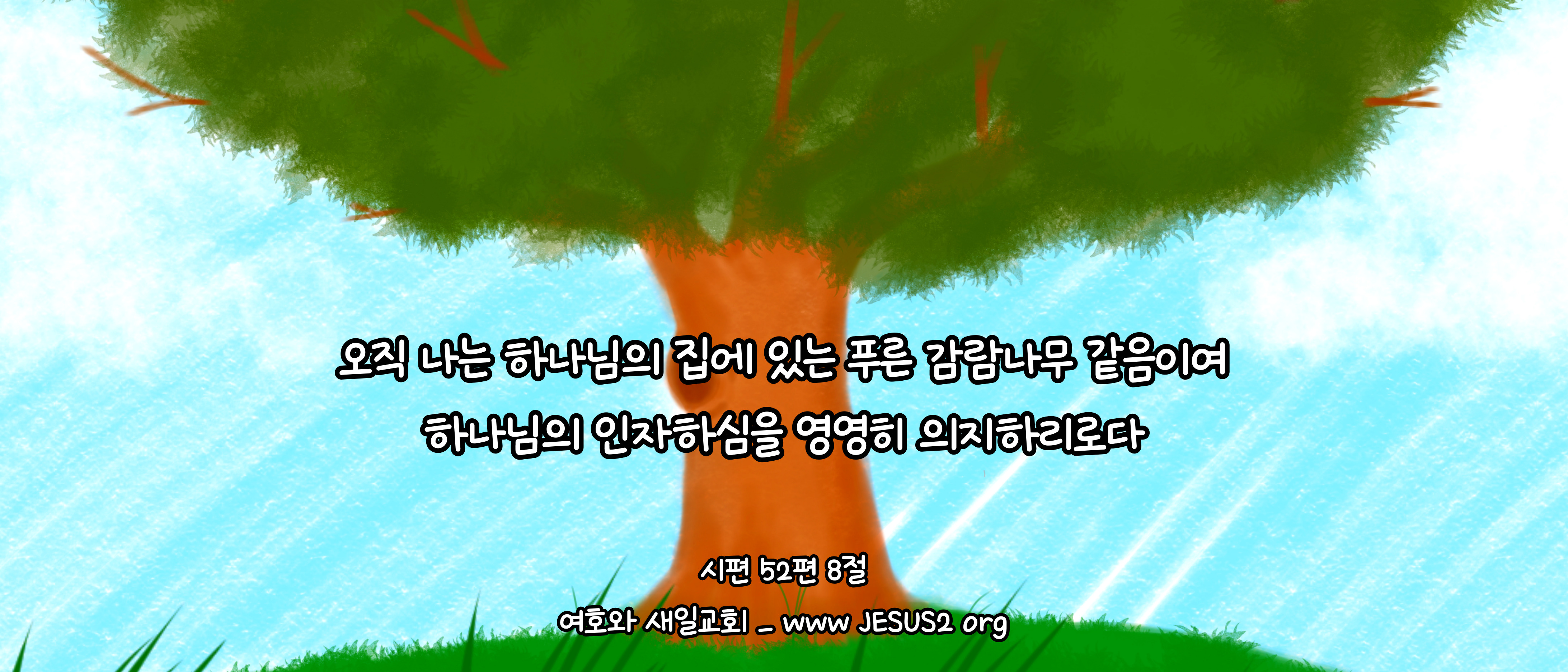  마태복음 2장 21절