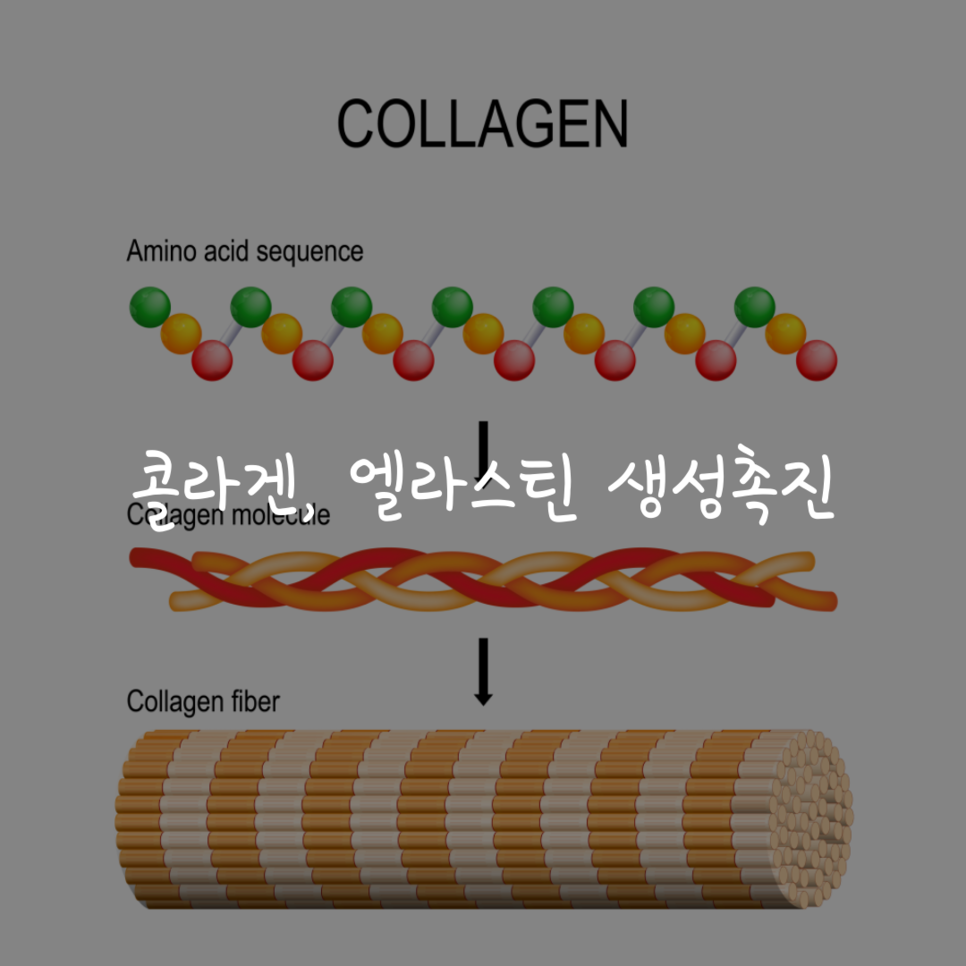 초음파 마사지 효능 초음파마사지 14