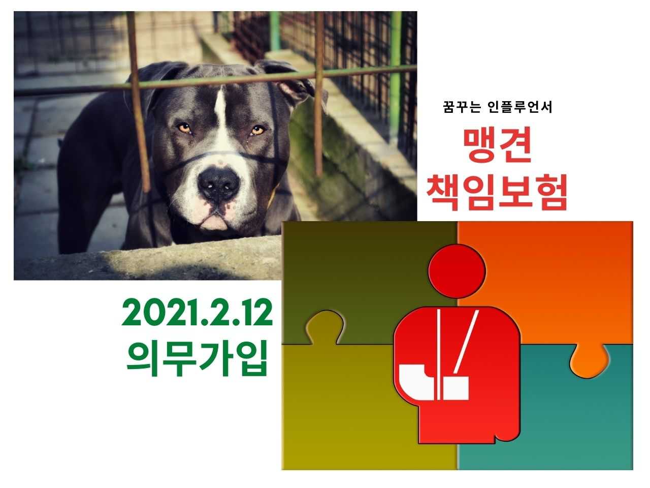 부산 맹견 배상책임보험 의무가입! 보험료는? 과태료는?