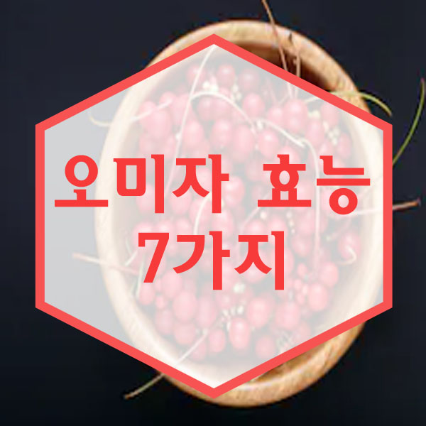  오미자 효능