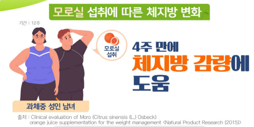 모로실 효능