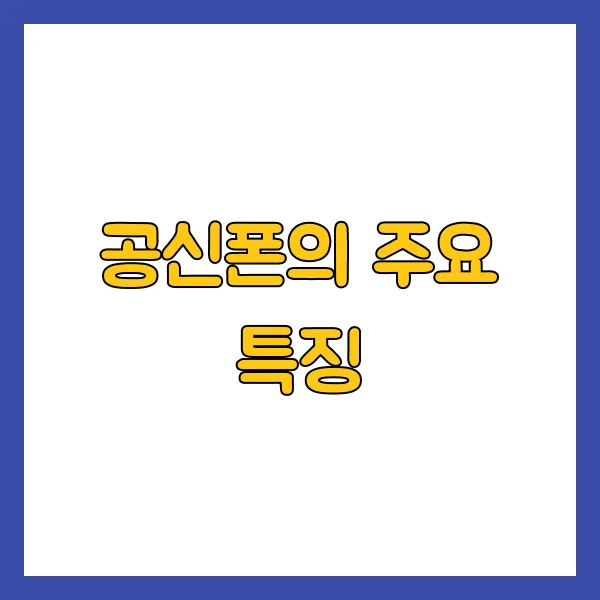 공신폰의 주요 특징