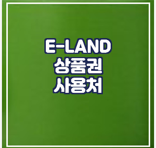  이랜드 상품권 사용처