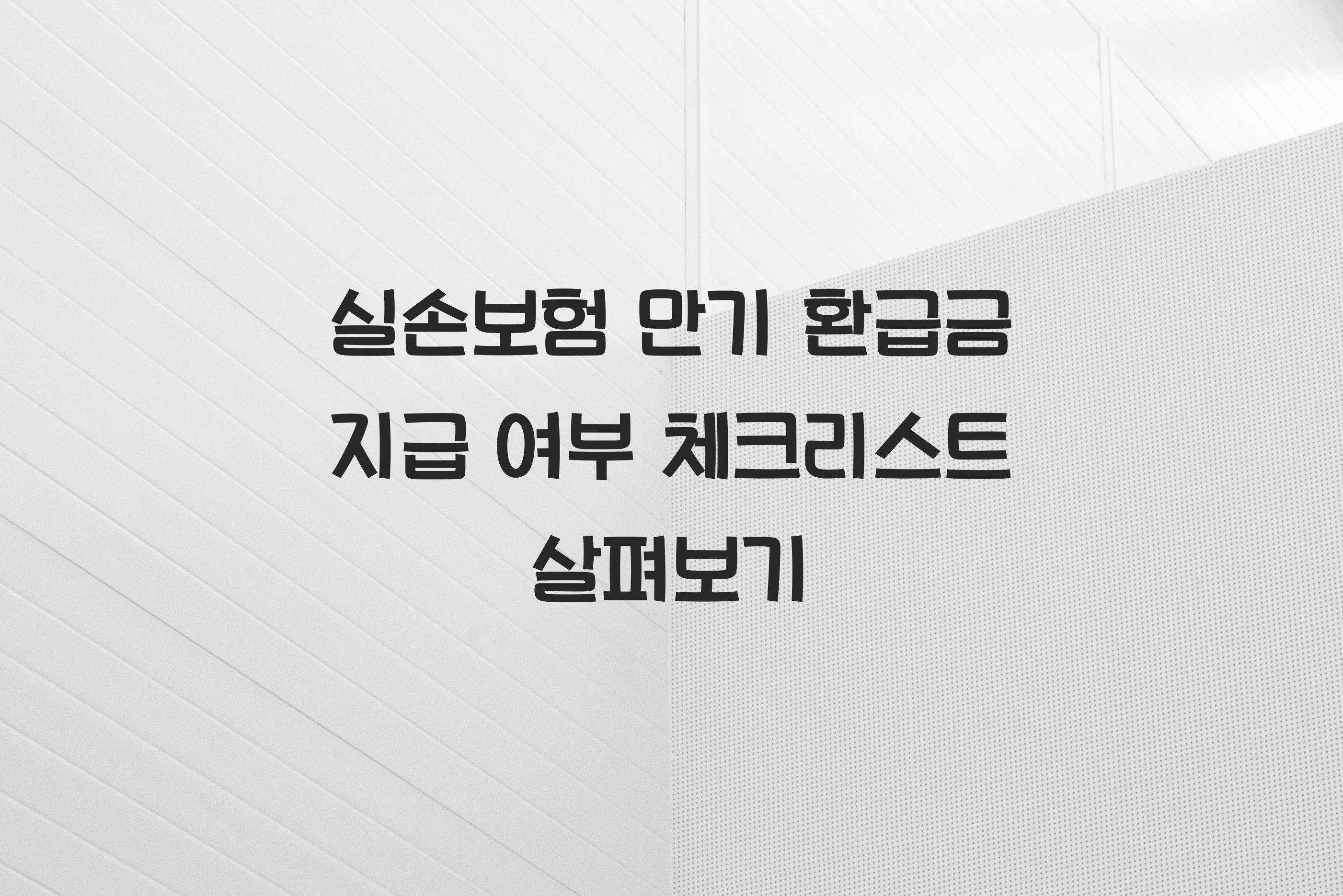 실손보험 만기 환급금 지급 여부