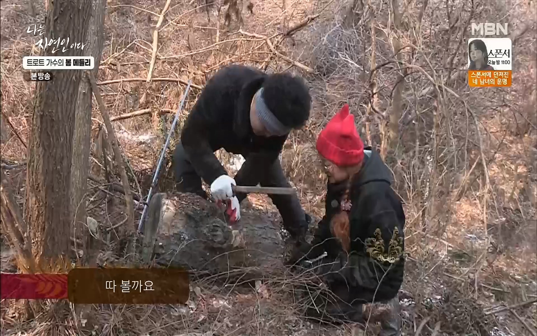 나는 자연인이다.E494.220323p.H264-F1RST.mp4_20220324_183858.053.jpg